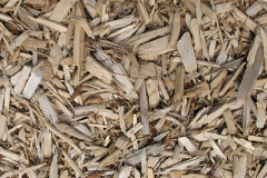 biomass boilers Shannochie